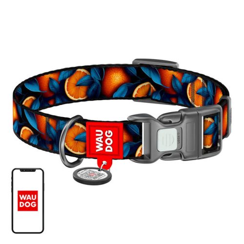 Waudog "Oranges" nylon nyakörv QR-kóddal, S méret